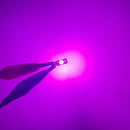 Lâmpadas de LED T5 para painel do carro