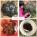 Rede de pescar tipo gaiola com 2 a 12 buracos